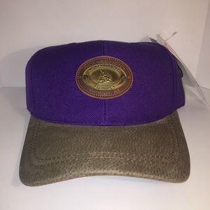 Vintage Phoenix Coyotes StrapBack hat. American Needle. New With Tags